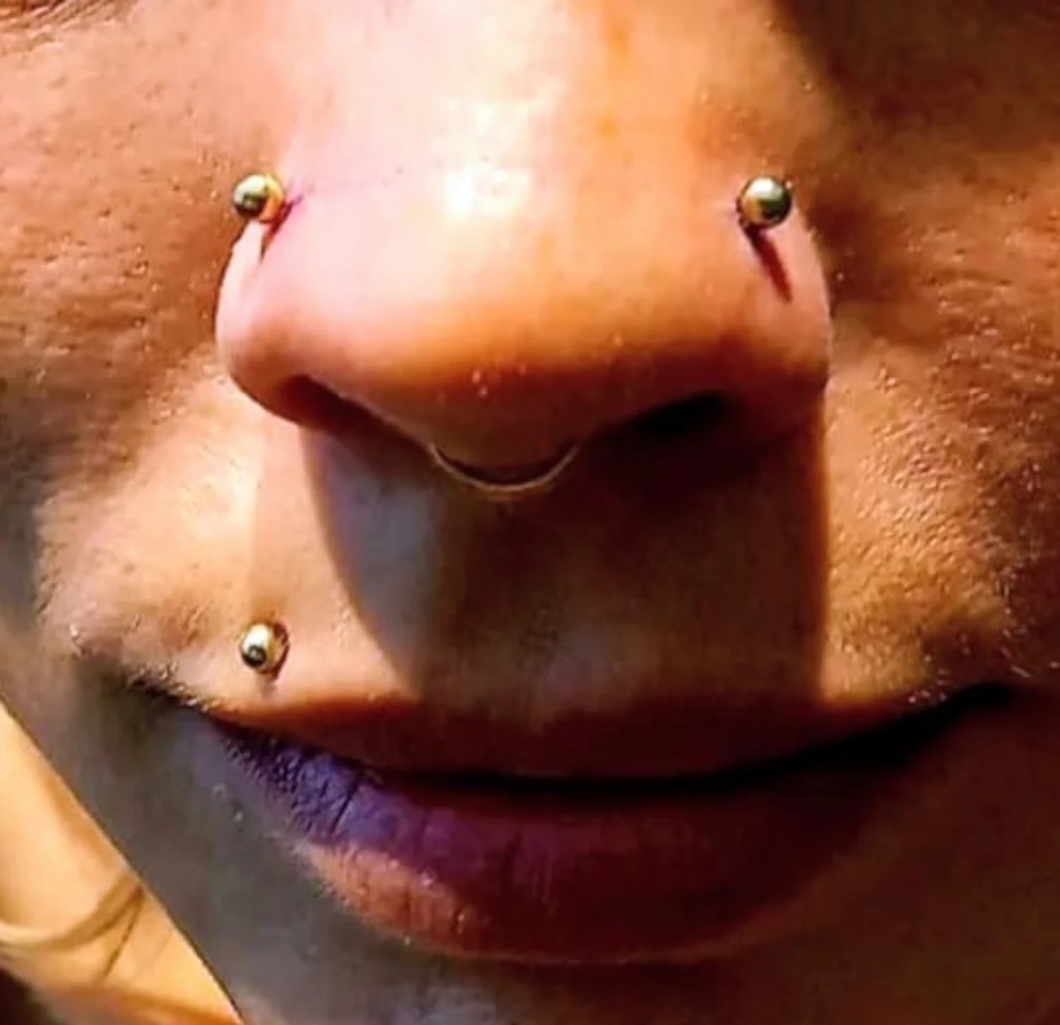 Nasen- und Lippenpiercings im Detail – Piercing-Arbeit von Jacky bei Gestochen Scharf Stendal