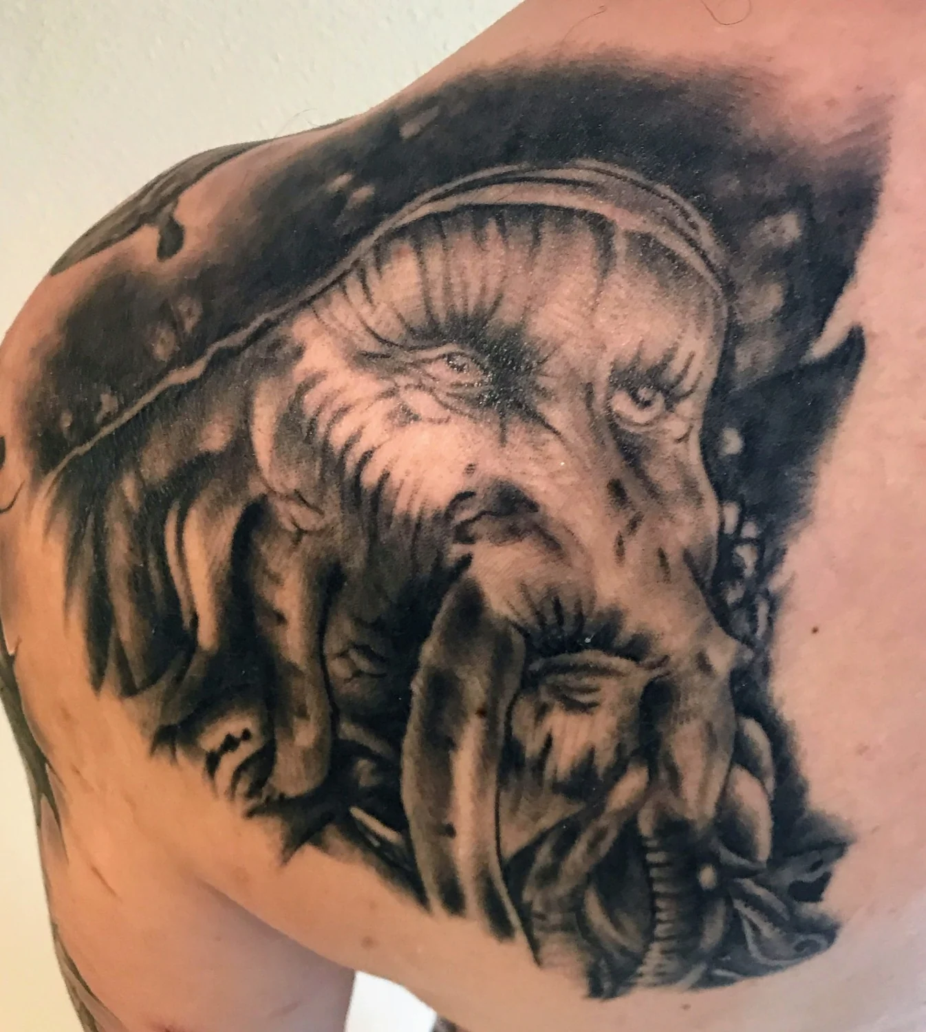 Elefantenporträt auf der Schulter – Tattoo-Arbeit von Silence