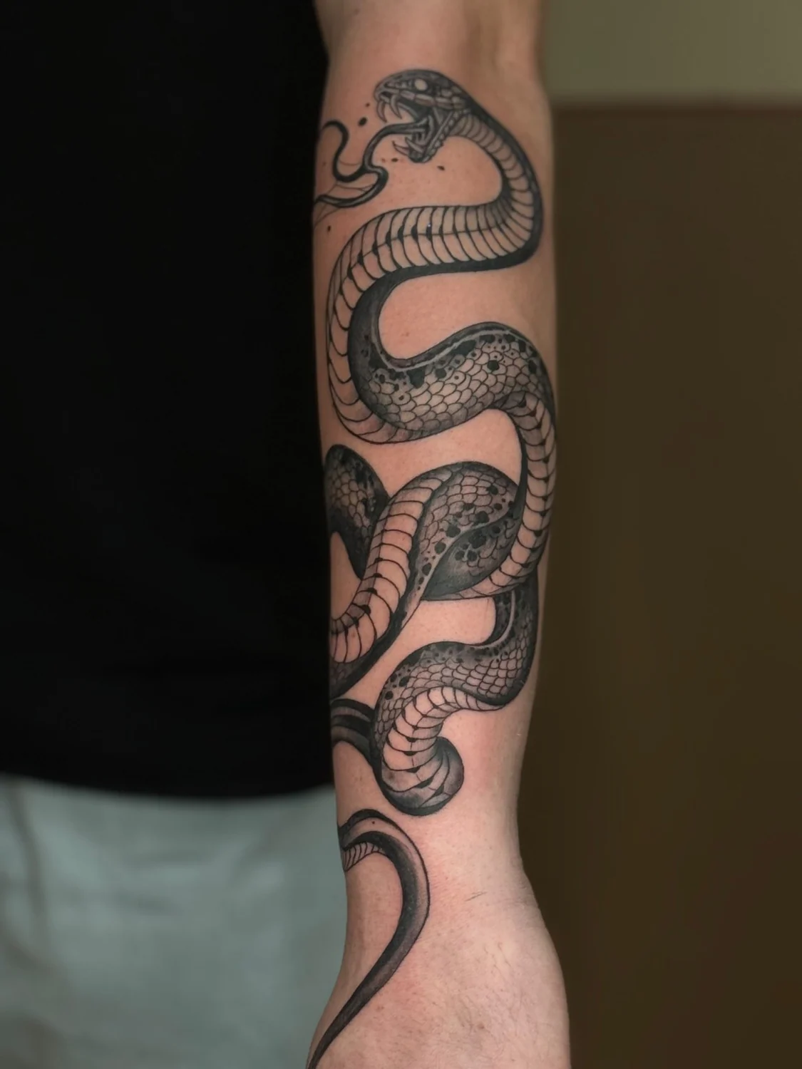 Schlange auf dem Unterarm – Tattoo-Arbeit von Silence