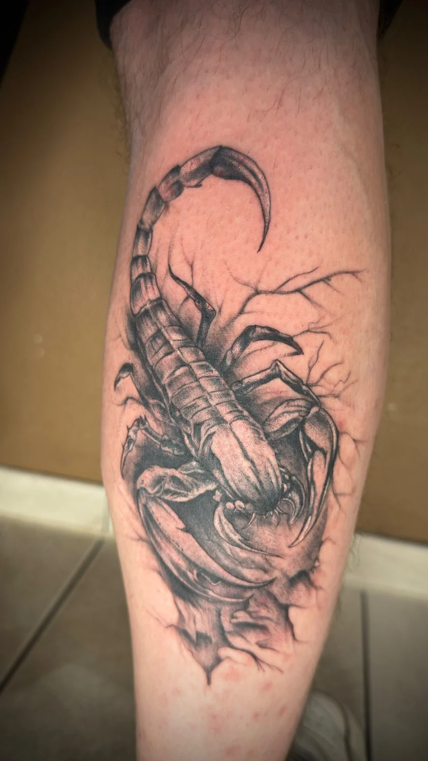 Skorpion mit feinen Schattierungen – Tattoo-Arbeit von Silence